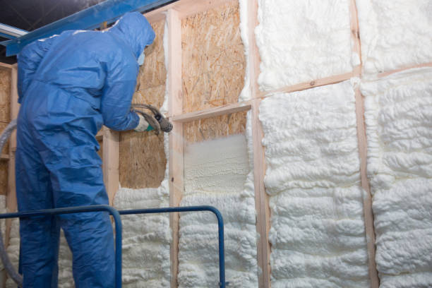 Best Insulation Air Sealing  in Zanesville, OH